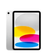 iPad - 256 GB, Wi-Fi + Cellular, Silver