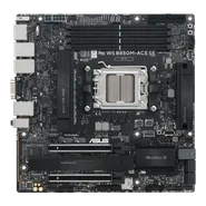 Pro WS B850M-ACE SE