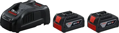 2 x GBA 18V 5.0Ah + GAL 1880 CV
