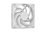 Momentum 12 White