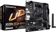 A520M DS3H WIFI6E
