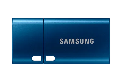 USB Flash Drive Type-C (256 GB)