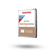 N300 NAS Hard Drive 12 TB