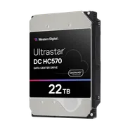 Ultrastar DC HC570 - 22TB (0F48155)